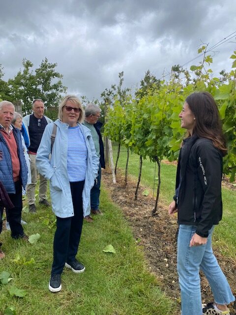 Poulton Vineyard Visit