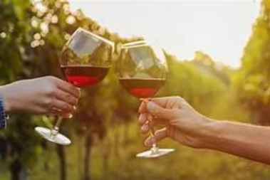Wine glasses in a vineyard